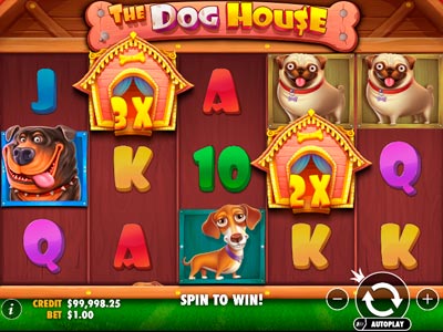 The dog house