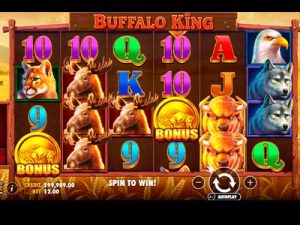 Buffalo king